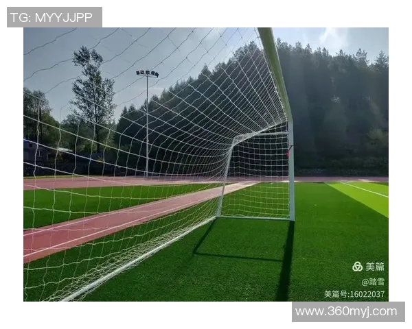 足球跳高的魅力探索与技巧提升之路如何在绿茵场上实现飞跃