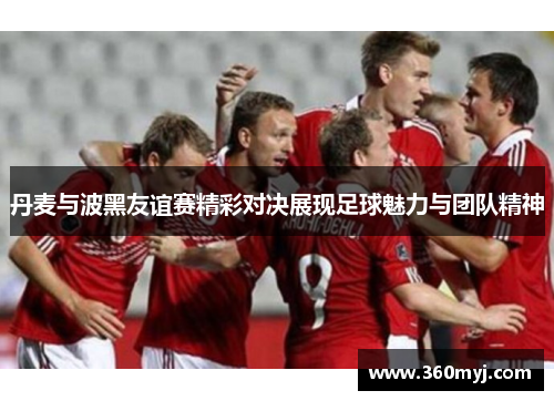 丹麦与波黑友谊赛精彩对决展现足球魅力与团队精神